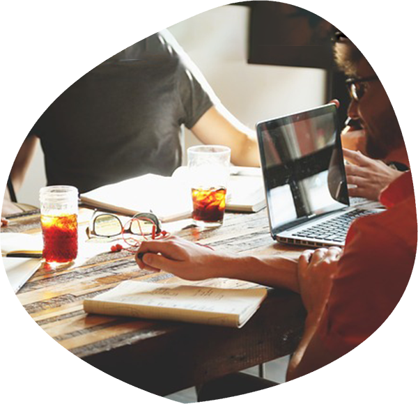 Stimmungsbild Organisationen